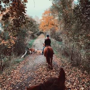 Meet your Posher, Haley